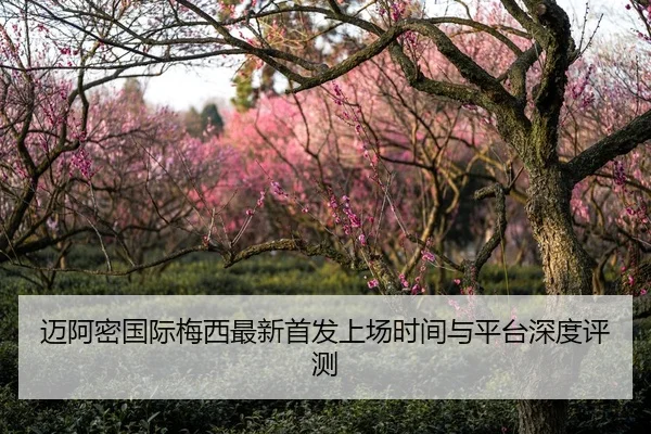 迈阿密国际梅西最新首发上场时间与平台深度评测