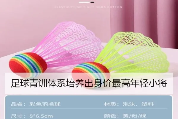 足球青训体系培养出身价最高年轻小将